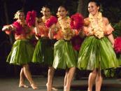  Voyagers of the Pacific Luau